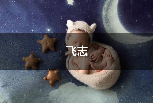 飞志