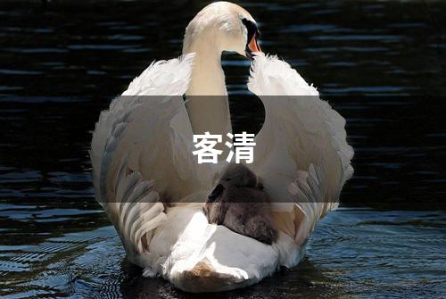 客清