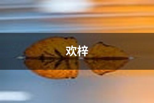 欢梓