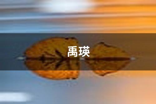 禹瑛