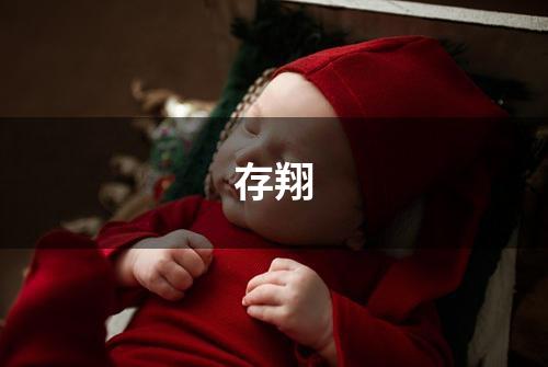 存翔