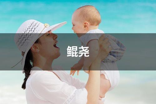 鲲尧