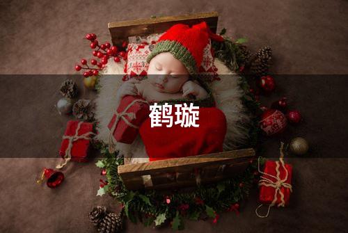 鹤璇