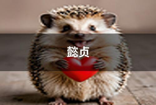 懿贞