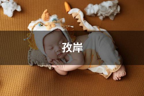 孜岸