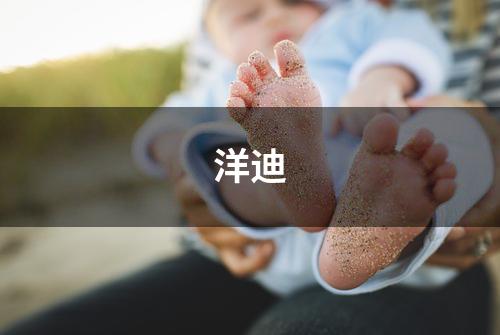 洋迪