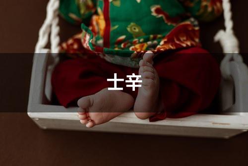 士辛