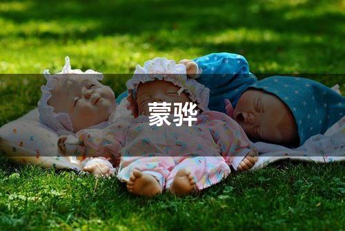 蒙骅