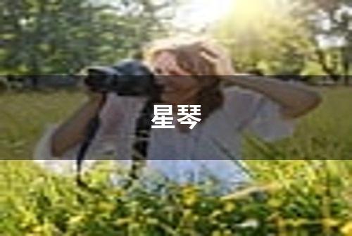 星琴