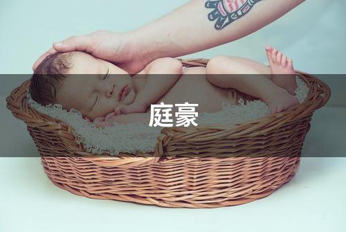 庭豪