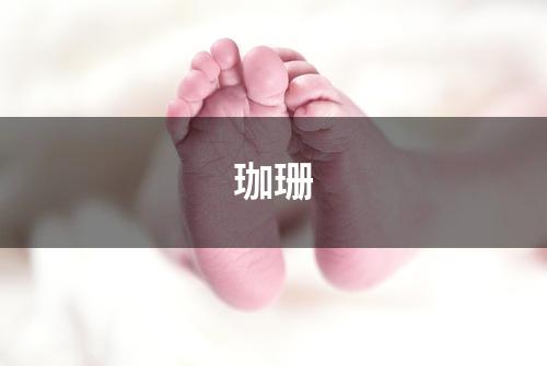 珈珊