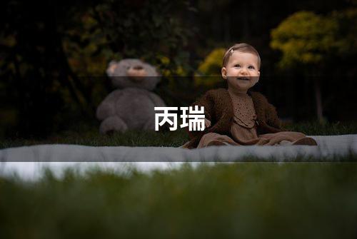 丙瑞