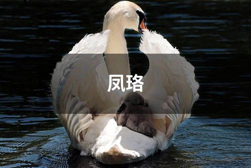 凤珞