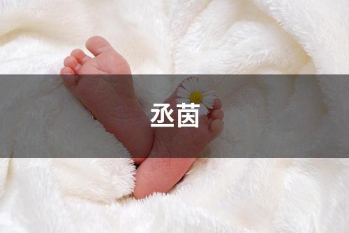 丞茵