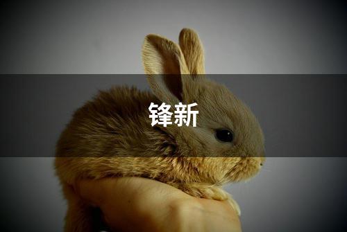 锋新