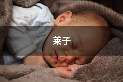 莱子