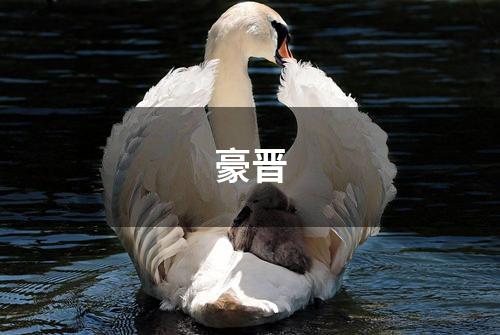 豪晋