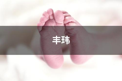 丰玮
