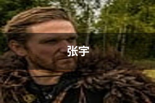 张宇
