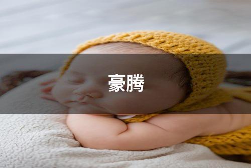 豪腾