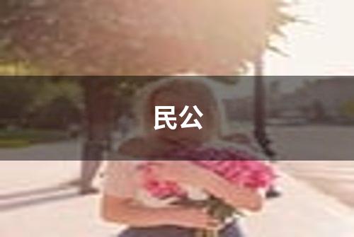 民公