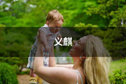义麒