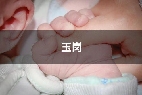 玉岗