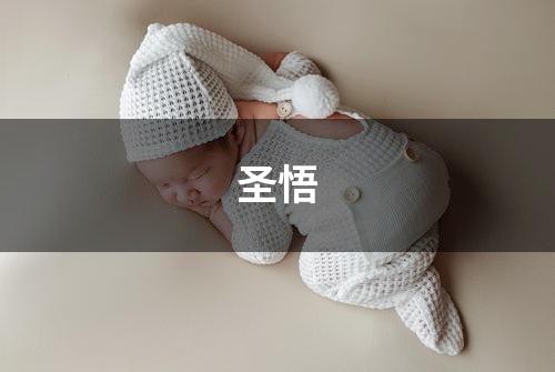 圣悟