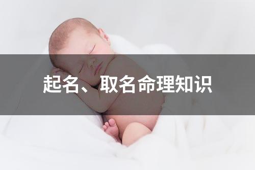 起名、取名命理知识