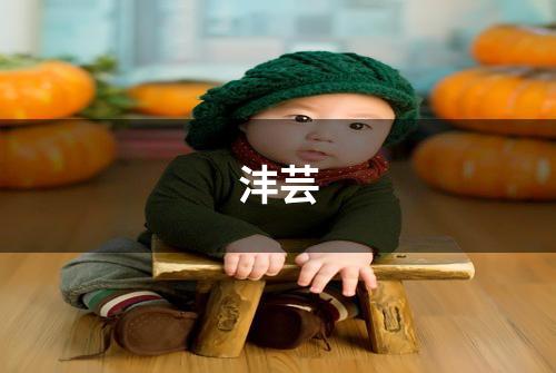 沣芸
