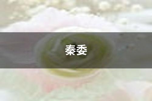 秦委