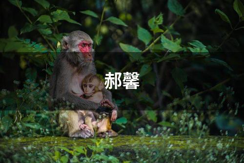 郝馨