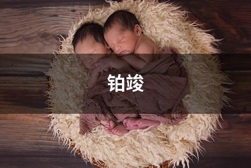 铂竣