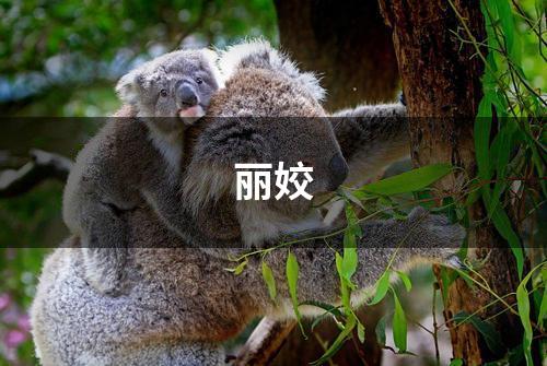 丽姣