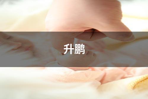 升鹏