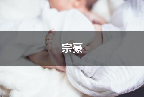 宗豪
