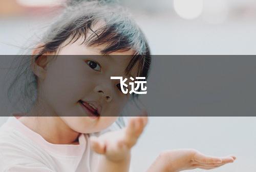 飞远