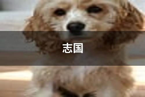 志国