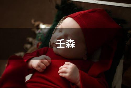 壬森