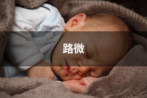 路微