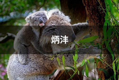 炳沣