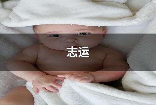 志运
