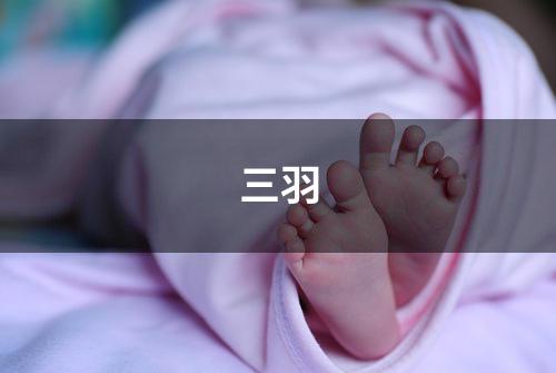 三羽