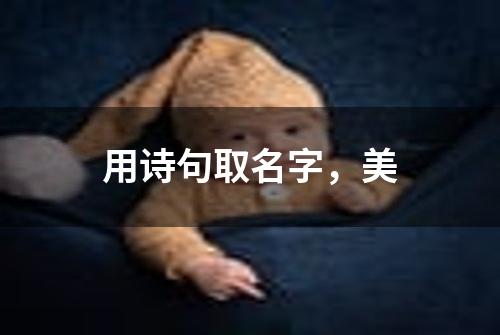 用诗句取名字,美