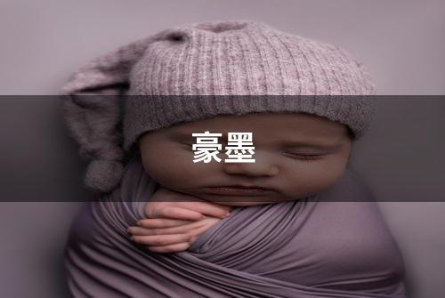 豪墨