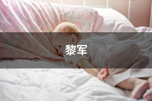 黎军