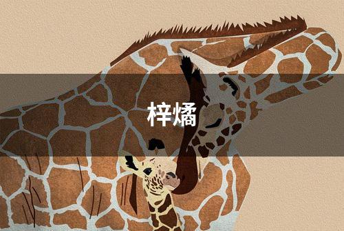 梓燏