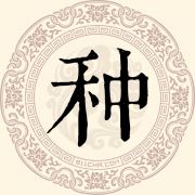 种